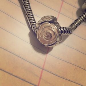 Pink rose garden Pandora charm